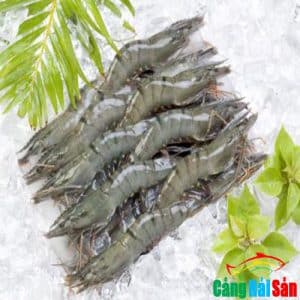 tôm sú tươi sống