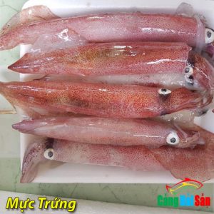mực trứng