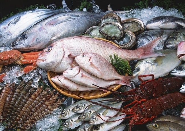 Một vài lưu ý trong việc vận chuyển hải sản đi xa