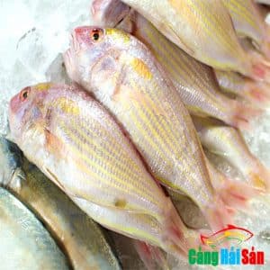 Cá Đổng tại Hải Sản Thủ Đức