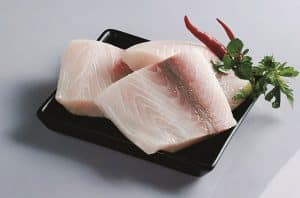 cá dũa là cá gì