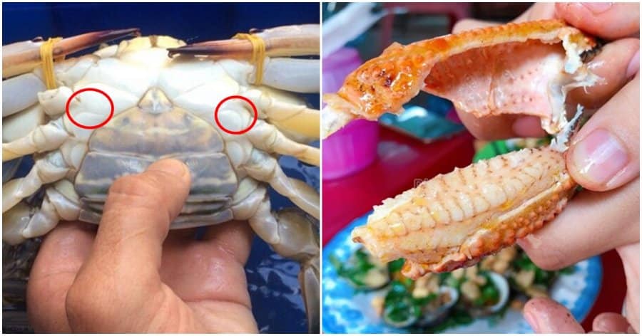 cách lựa chọn ghẹ nhiều thịt