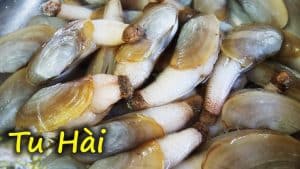 con tu hài làm món gì ngon