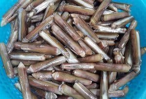 cách chọn ốc móng tay tươi ngon