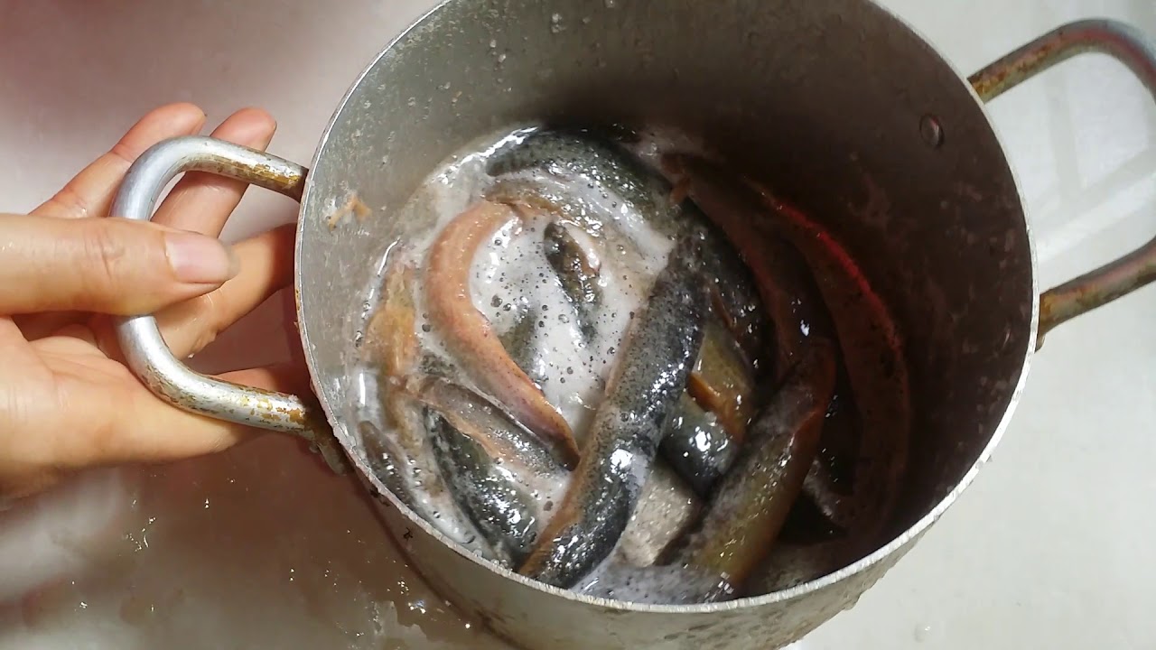 Cách làm sạch cá đúng cách