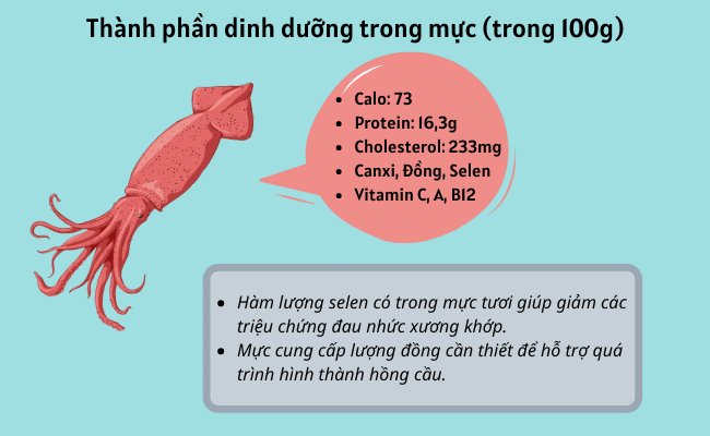 thành phần dinh dưỡng của mực