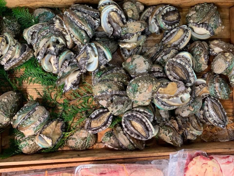 bào ngư có tốt không