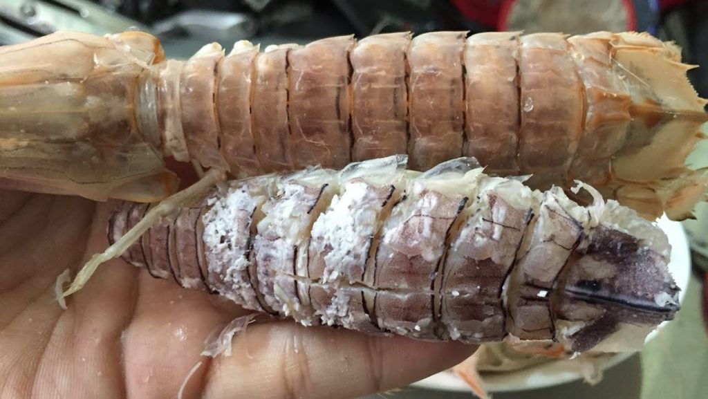 cách bóc vỏ tôm tít