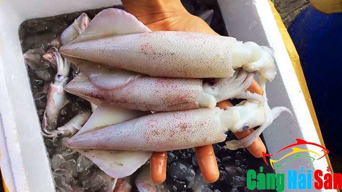 Thời điểm mua mực hợp lý