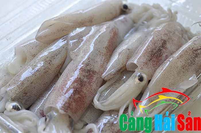 Chuyên sỉ mực tươi TPHCM