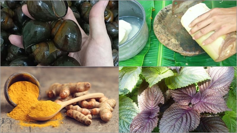 củ chuối nấu ốc bươu