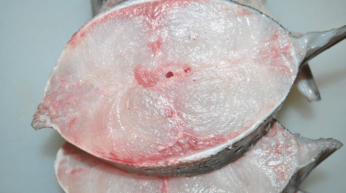 các cách bảo quản cá tươi