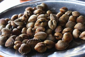 cách lựa chọn sò huyết tươi ngon