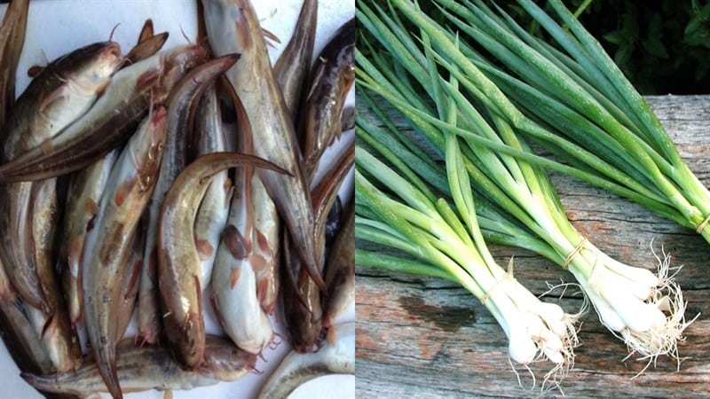 cá ngát nướng mỡ hành