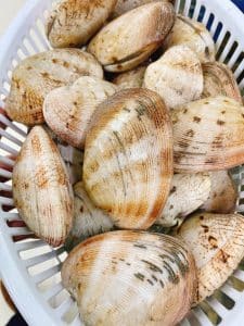 cách chọn ngao tươi ngon