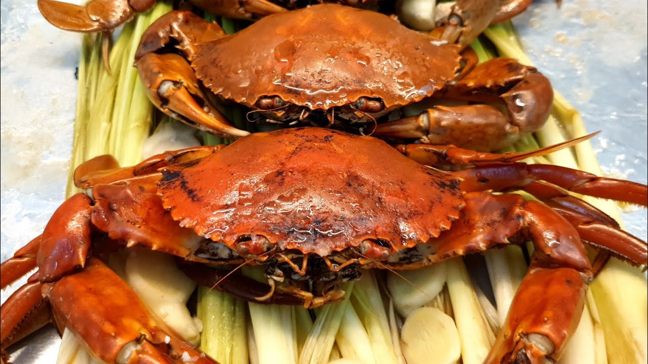 cách chọn cua biển ngon