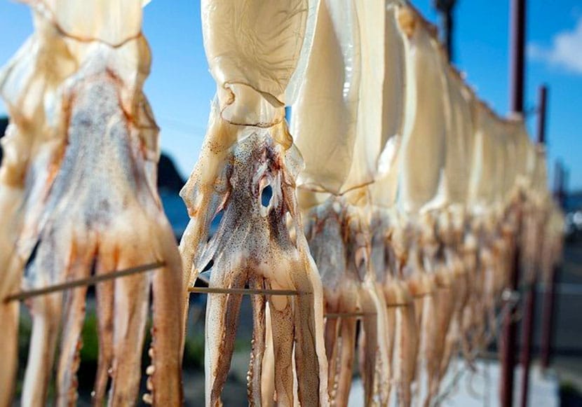 cách phơi mực một nắng