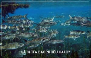 cá biển bao nhiêu calo