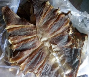 các loại khô cá đuối