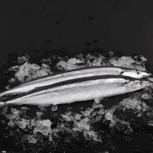 cách chế biến cá thu đông lạnh