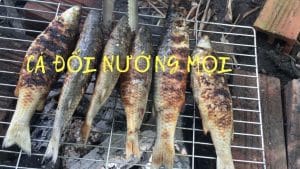 cá đối nướng mọi