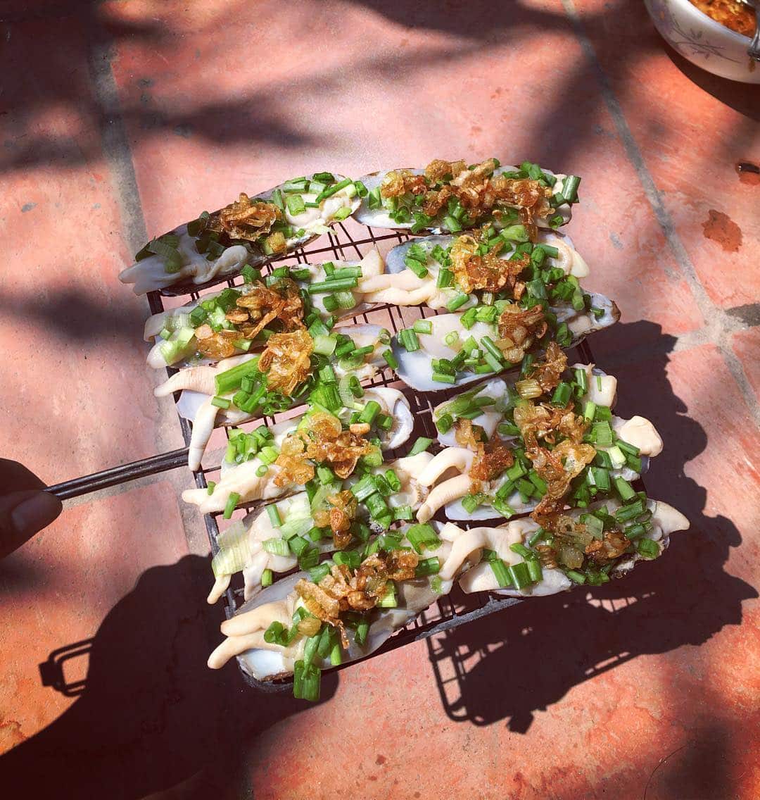 tác dụng của tu hài