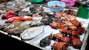 Cách vận chuyển hải sản tươi sống bằng máy bay cùng LePhong Moving